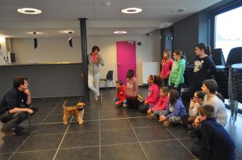 Institut belge de zoothérapie: Ateliers pédagogiques dans les écoles