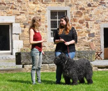  :formation_courte_en_zootherapie_avec_chien.jpg