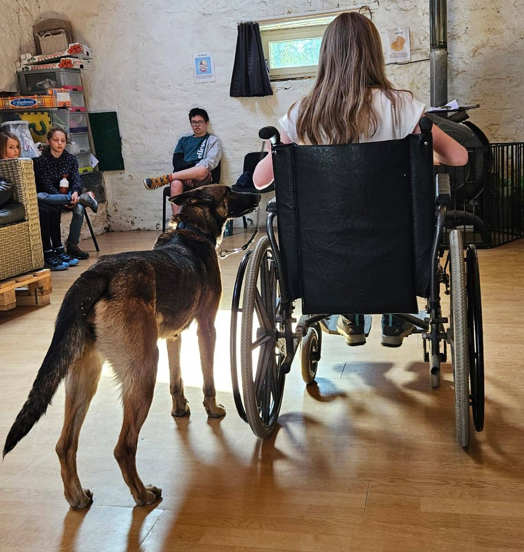 zootherapie exercice du chien et de la chaise pour PMR