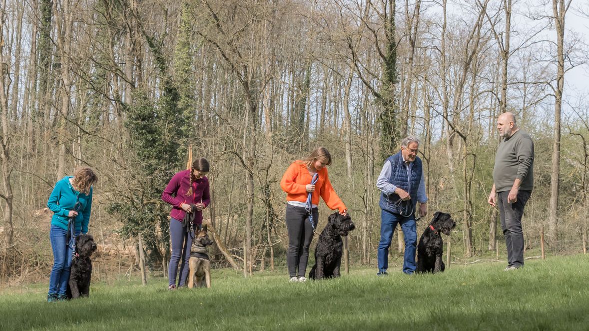 Chien sur le terrain d'entra&icirc;nement