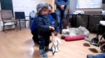  :20151127_lilou_enfant_de_3ans_rencontre_un_bouvier_de_6mois.jpg