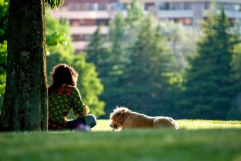 Institut Belge de zoothérapie: Le chien face à l’autisme