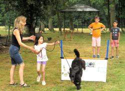  :formation_enfant_chien.jpg