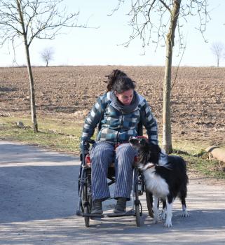  :20180302_zootherapie_exercice_du_chien_et_de_la_chaise.jpg