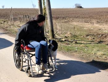 Une semaine d'initiation en Thérapie Assistée par l'Animal