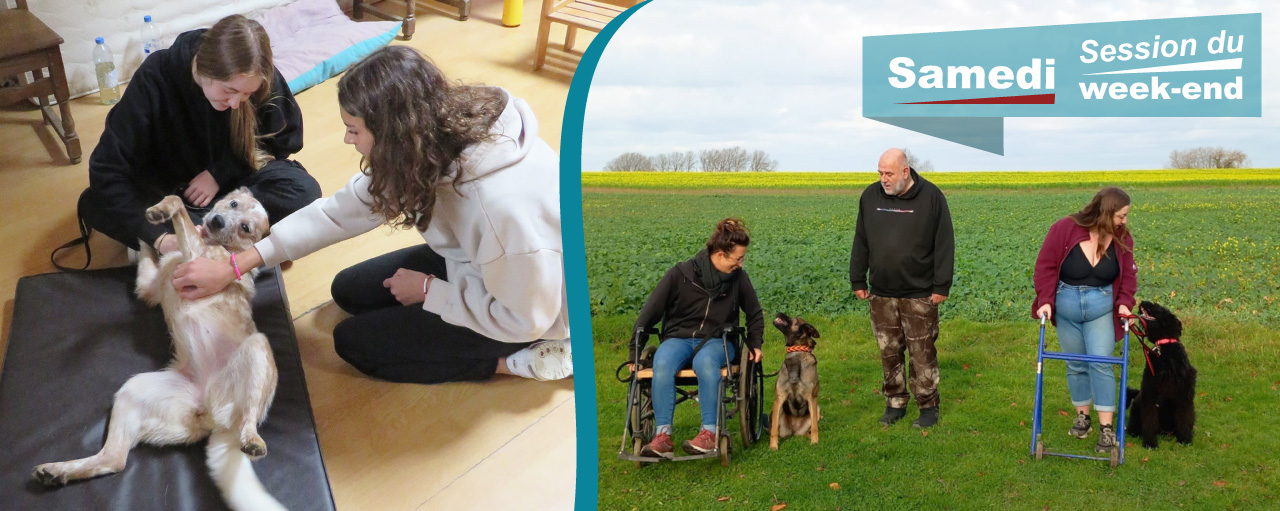 Formation courte en m&eacute;diation animale ( Zooth&eacute;rapie )